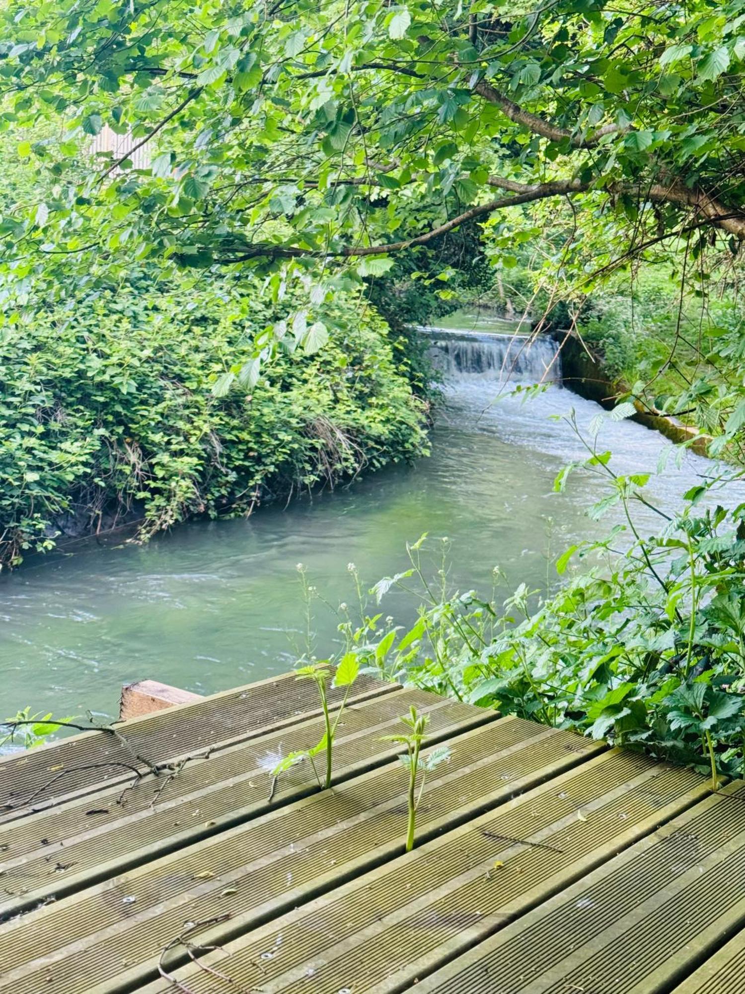 Le Chant De La Riviere Abbeville Eksteriør billede